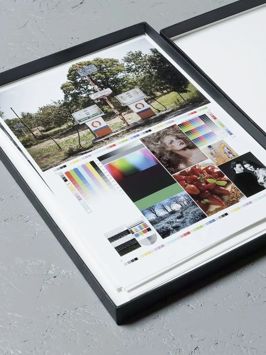 le PORTFOLIO pigmentaire