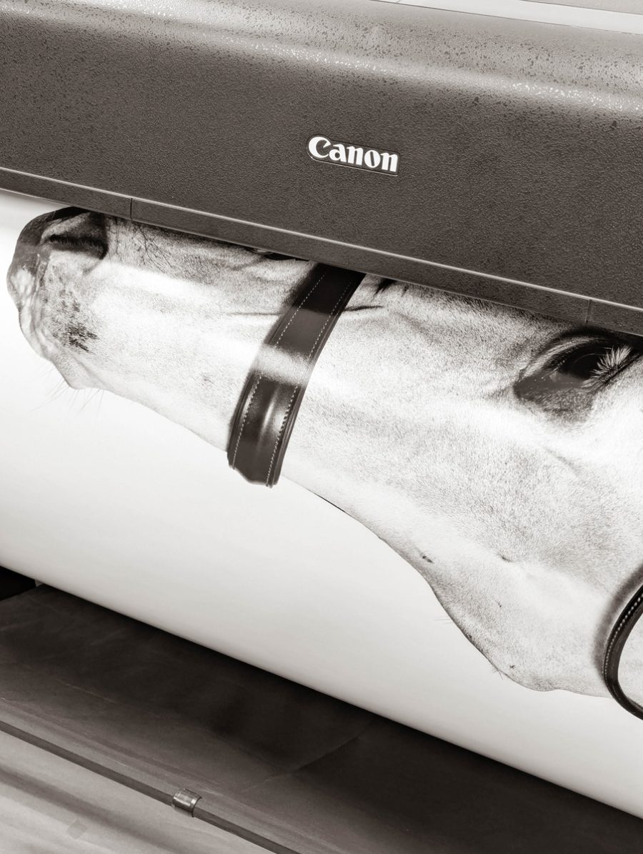 Stage impression & séjour en Bourgogne